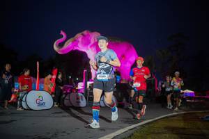 BIB: 
                            <button type="button" onclick="openModal(26551761)" class="btn btn-primary btn-sm float-right btn-popup" data-toggle="modal" data-target=".modal-high-quality">
                        <i class="fas fa-shopping-cart"></i> Add to Cart
                    </button>
                                            <button type="button" onclick="isThisMe(26551761, true)" class="btn btn-success btn-sm float-right btn-popup btn-isme hidden" data-toggle="tooltip" data-placement="bottom" title="นี่คือรูปของคุณใช่ไหม คลิกที่นี่เพื่อเอาเข้าอัลบั้ม">
                        <i class="fas fa-plus"></i> Add to album
                    </button>
                    <button type="button" onclick="isThisMe(26551761, false)" class="btn btn-warning btn-sm float-right btn-popup btn-isnotme hidden">
                        <i class="fas fa-ban"></i> Remove from album
                    </button>